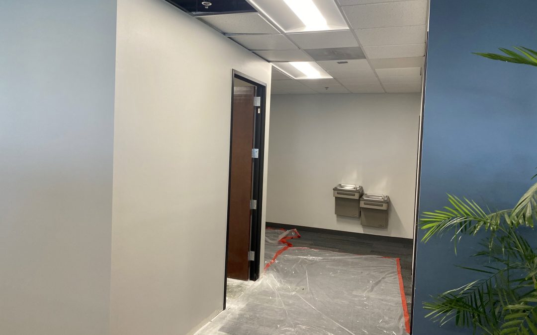 Phase 4 Painting Complete at EMC Insurance (Peoria)