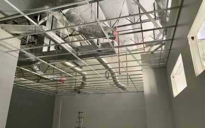 Ceiling Grid at Fusion Power (Chandler)