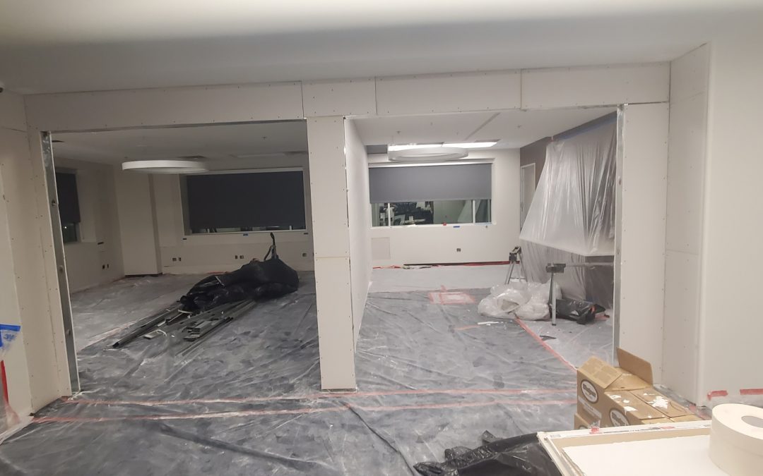 American Vision Partners IT/Optical Office Progress Update (Phoenix)