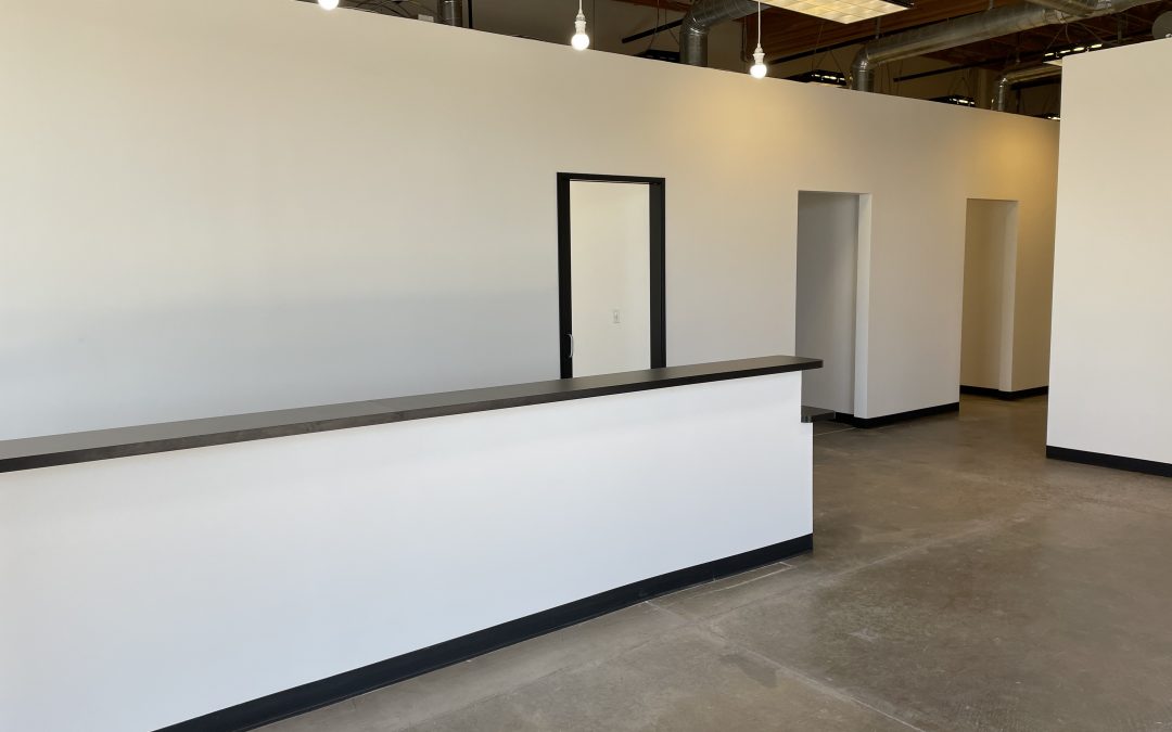 Modern Chiropractic Company Build Out Complete (Chandler)