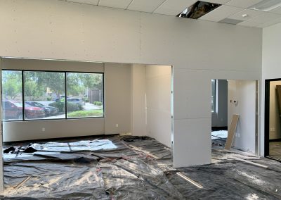 Skinscript drywall and insulation