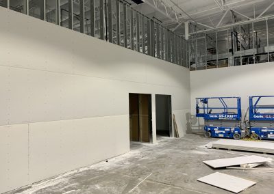 Skinscript drywall and insulation