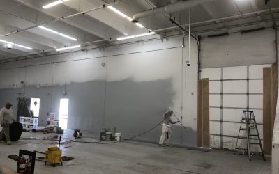 Green Light Garage Paint (Mesa)