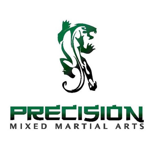 Precision Martial Arts Logo