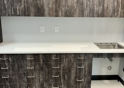 AVP East Valley Peaks Surgery Center