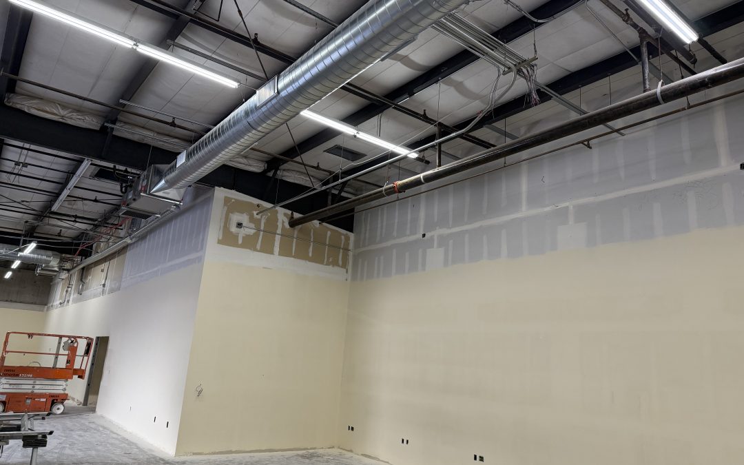 Drywall and Paint at Edco Tenant Improvement Project (Gilbert)